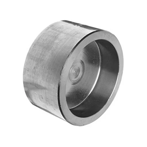 ASTM A182 SS 321 _ 321H Socket Weld Cap